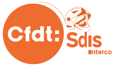 Syndicat national des services d'incendie et de secours de France