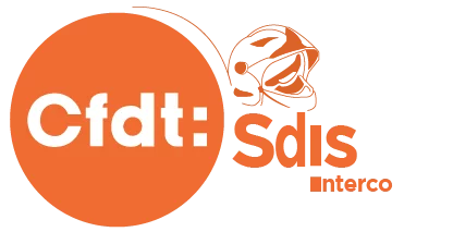 Syndicat national des services d'incendie et de secours de France